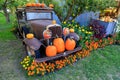 Old Antique Car Pumpkin Patch Keremeos Royalty Free Stock Photo