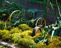 Fall colors are appearing on the Farm Royalty Free Stock Photo