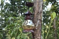 A old antique Indian lantern found in a forest