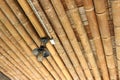 Old antique lamps, wooden background