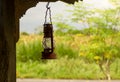 An old and antique lantern in a viilage in Yogyakarta, Indonesia Royalty Free Stock Photo
