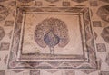 Old antique mosaic in paphos