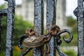 Old antique padlock