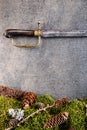 Old antique saber with forest still life on grey background, historical weapons Royalty Free Stock Photo