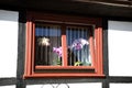 Old antique window in a wooden frame in a historic building close up with beautiful orchids in the