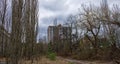 An old apartment building looms behind a forested area, under an overcast sky