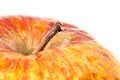 Old apple closeup Royalty Free Stock Photo