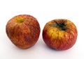 Old apples Royalty Free Stock Photo