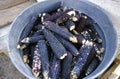 Drying blue corn in the sun