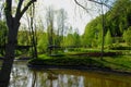 Old arbor and its reflection in the pond Royalty Free Stock Photo