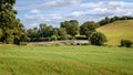 Old Arch Bridge in a Field, Newry, Northern Ireland