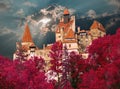 Count Dracula legendary castle in Bran Royalty Free Stock Photo