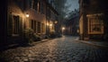 Old architecture illuminated by street lights on wet cobblestone footpath generated by AI Royalty Free Stock Photo