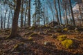 Old army barracks or cottages hiding in the depths of forest at Kocevje or Kocevski rog. Partisan hideout in Slovenia called Baza