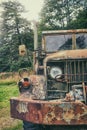 Old army truck in the woods