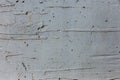 Vintage painted wooden background texture of wooden weathered rustic wall with peeling paint. Empty space for copy old wood Royalty Free Stock Photo