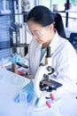 Old asia woman scientist look though magnifying glass to petri dish in laboratory to seriusly