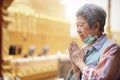 Old asian senior woman traveler tourist praying at buddhist temple Royalty Free Stock Photo