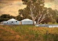 Old Australian sheep shearing sheds