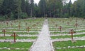 Old Austrian Cemetery from World War I in the middle of the fore