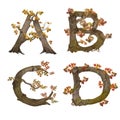 Old autumn tree alphabet - letters A-D