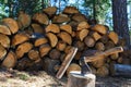 Old axe standing against a piled pieces of firewood