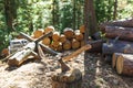 Old axe standing against a piled pieces of firewood Royalty Free Stock Photo