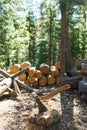 Old axe standing against a piled pieces of firewood Royalty Free Stock Photo