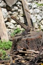 An old axe stuck in a stump. Hand-held antique method of stabbing wood with an iron axe