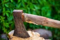 Old axe in stump. Axe pounded in the trunk of tree with green plants in the background. Woodworking tool