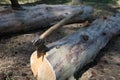 An old axe in the sunlight Royalty Free Stock Photo