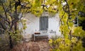Old baby bed against abandoned traditional house framed with autumn grapevine