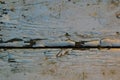 Old background, cracked surface, paint with scratches, wet painted wood and boards. Royalty Free Stock Photo