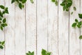 Old background with green leaves Royalty Free Stock Photo