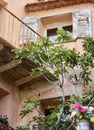 Old yard with balcony, shutters on windows, fig tree and vase with flowers. Royalty Free Stock Photo