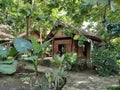 Old backyard hut