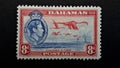 An old Bahama postage stamp. Flamingos in flight.