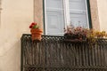 Old balcony with flower