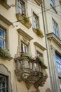 Old balcony with a lion head sculpture in Lviv