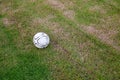 Old ball on the artificial turf at the stadium. view of green striped football Royalty Free Stock Photo