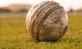 Old ball for cricket in india 2016 Royalty Free Stock Photo