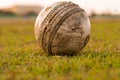 Old ball for cricket in india 2016 Royalty Free Stock Photo