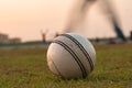 Old ball for cricket in india 2016 Royalty Free Stock Photo