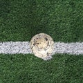 Old ball on new ground Royalty Free Stock Photo