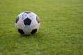 Old ball soccer on new green grass-ground Royalty Free Stock Photo