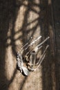 Old ballet shoes on old wooden floor. Royalty Free Stock Photo