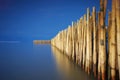 Old bamboo fence