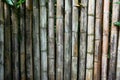 Old bamboo fence background. Bamboo fence background texture Royalty Free Stock Photo