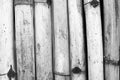 Bamboo Background Black and White Royalty Free Stock Photo