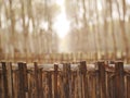 Old bamboo fence in a tropical country blurred background Royalty Free Stock Photo